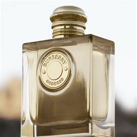 burberry parfum dames bijenkorf|Burberry goddess macy's.